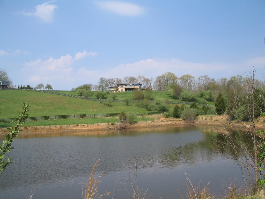 View from the pond, Pond View House. Photo by James Hricko Architect LLC.