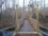Bridge at Popes Head Creek. Photo by James Hricko Architect LLC.