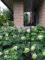 Exterior, detail of rain chains, Waterloo Cottage. Photo by James Hricko Architect LLC.